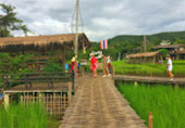 Classic เหนือ : เชียงใหม่ ลำพูน ลำปาง พะเยา