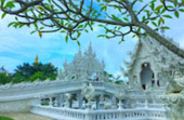 Freshey North: 5 วัน 4 คืน แม่ฮ่องสอน ปาย เชียงใหม่ เชียงราย ดอยแม่สลอง