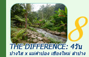 The Difference: 4 วัน 3 คืน ปางไฮ x แม่คำปอง - เชียงใหม่ - ลำปาง