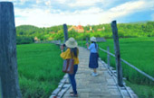 Freshey North: 5 วัน 4 คืน แม่ฮ่องสอน ปาย เชียงใหม่ เชียงราย ดอยแม่สลอง