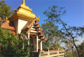 Deep In : พะเยา บุษราคัม แม่สลอง