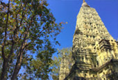 Deep In : พะเยา บุษราคัม แม่สลอง