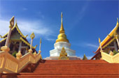 Deep In : พะเยา บุษราคัม แม่สลอง