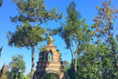 Deep In : พะเยา บุษราคัม แม่สลอง