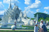 Deep In : พะเยา บุษราคัม แม่สลอง