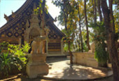 Deep In : พะเยา บุษราคัม แม่สลอง