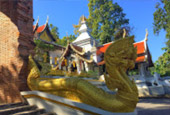 Deep In : พะเยา บุษราคัม แม่สลอง