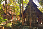 Deep In : พะเยา บุษราคัม แม่สลอง