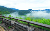 Fantastic North เชียงราย ภูลังกา พะเยา