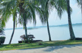 Fantastic North เชียงราย ภูลังกา พะเยา