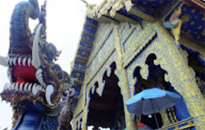 Fantastic North เชียงราย ภูลังกา พะเยา