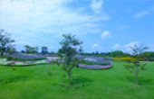 Fantastic North เชียงราย ภูลังกา พะเยา