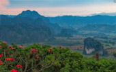 Fantastic North เชียงราย ภูลังกา พะเยา