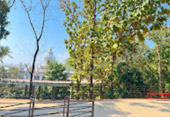 Completed Hidden: พะเยา 2 วัน 1 คืน