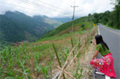 The Long: เชียงราย ลำปาง น่าน พะเยา