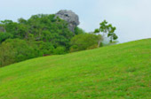 The Long: เชียงราย ลำปาง น่าน พะเยา