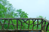 The Long: เชียงราย ลำปาง น่าน พะเยา