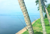 The Long: เชียงราย ลำปาง น่าน พะเยา