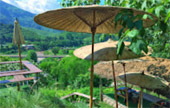 The Long: เชียงราย ลำปาง น่าน พะเยา