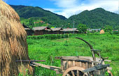 The Long: เชียงราย ลำปาง น่าน พะเยา