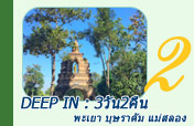 Deep In : พะเยา บุษราคัม แม่สลอง