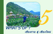 What's up ? เชียงราย สู่ เชียงใหม่
