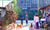 Over Top Road: เชียงราย น่าน ระดับความทรงจำ