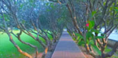 Over Top Road: เชียงราย น่าน ระดับความทรงจำ