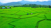 Over Top Road: เชียงราย น่าน ระดับความทรงจำ