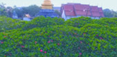 Over Top Road: เชียงราย น่าน ระดับความทรงจำ