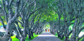 Over Top Road: เชียงราย น่าน ระดับความทรงจำ