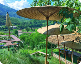 The Long: เชียงราย ลำปาง น่าน พะเยา