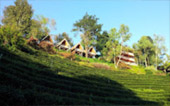 Sun on fog: เชียงราย