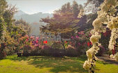 Sun on fog: เชียงราย