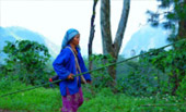 Sun on fog: เชียงราย