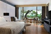 Fantastic North เชียงราย ภูลังกา พะเยา