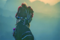 Day Trip On Top : ผจญภัยบนดอย  และวัฒนธรรม เชียงราย