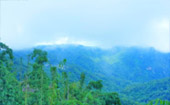 Day Trip On Top : ผจญภัยบนดอย  และวัฒนธรรม เชียงราย