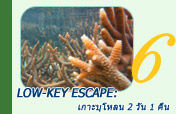 Low-key escape: เกาะบุโหลน 2 วัน 1 คืน