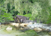 Primordial Wilderness: ตะรุเตา อาดัง ราวี หาดใหญ่