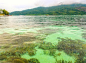Primordial Wilderness: ตะรุเตา อาดัง ราวี หาดใหญ่