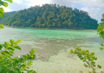 A whole new perspective: เกาะหลีเป๊ะ