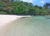 A whole new perspective: เกาะหลีเป๊ะ