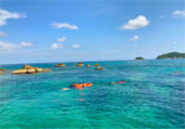 Primordial Wilderness: ตะรุเตา อาดัง ราวี หาดใหญ่