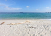 Caught smiling: 5 วัน 4 คืน หาดใหญ่ เบตง หลีเป๊ะ