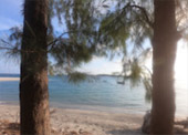 Caught smiling: 5 วัน 4 คืน หาดใหญ่ เบตง หลีเป๊ะ