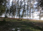Caught smiling: 5 วัน 4 คืน หาดใหญ่ เบตง หลีเป๊ะ