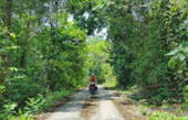 Primordial Wilderness: ตะรุเตา อาดัง ราวี หาดใหญ่