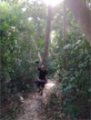 Primordial Wilderness: ตะรุเตา อาดัง ราวี หาดใหญ่