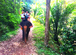 Khao Lak Around : Nature Around เขาหลัก 4 วัน 3 คืน